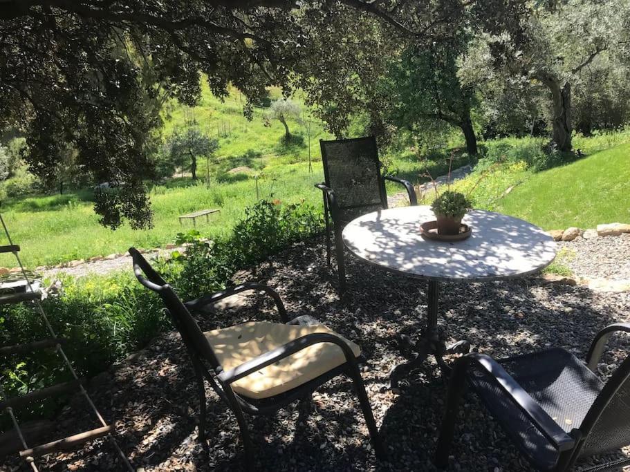 Penthouse Apartment, Cortijo Fruitful Hills 말라가 외부 사진