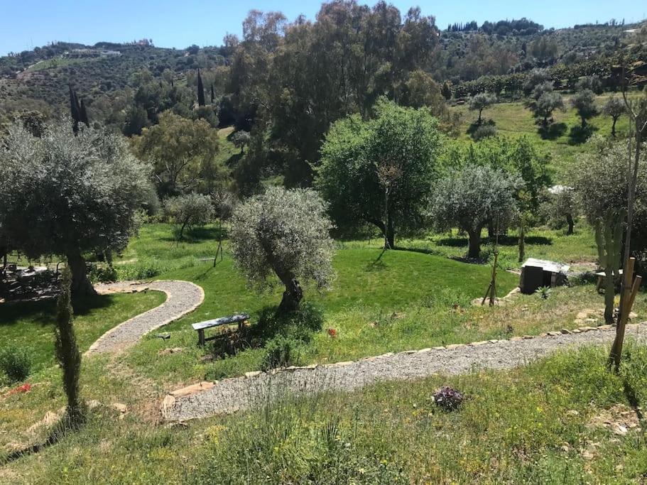 Penthouse Apartment, Cortijo Fruitful Hills 말라가 외부 사진