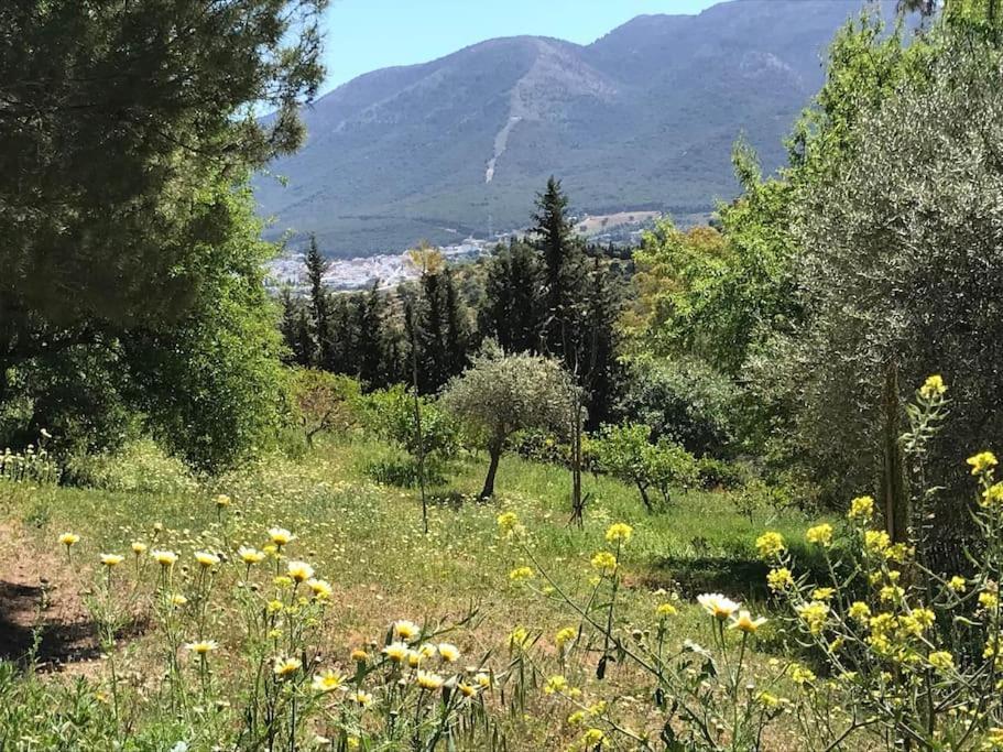 Penthouse Apartment, Cortijo Fruitful Hills 말라가 외부 사진