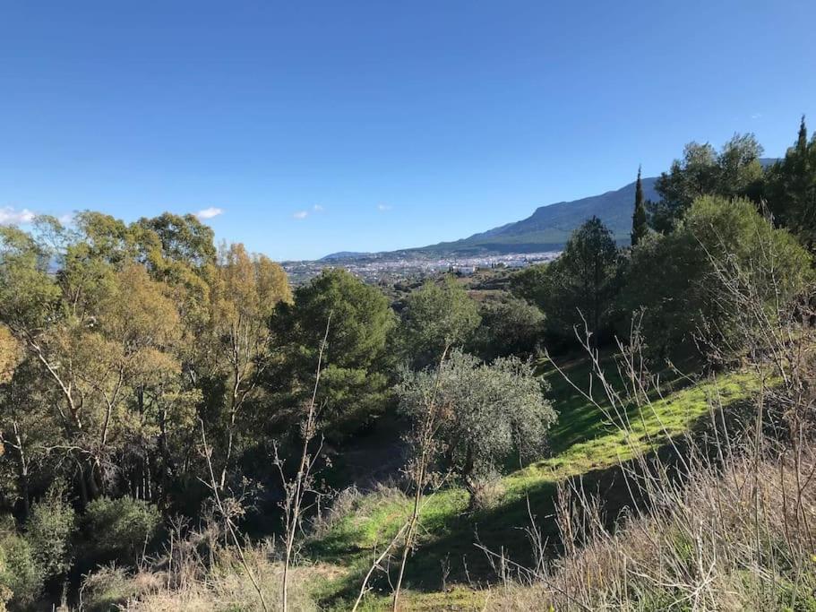 Penthouse Apartment, Cortijo Fruitful Hills 말라가 외부 사진